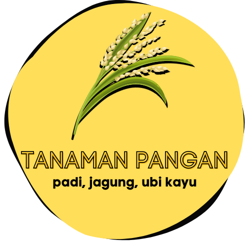 Tanaman Pangan