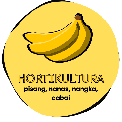 Hortikultura